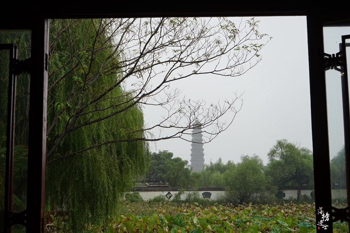 抹茶可以单单喝吗,抹茶可以每天喝吗