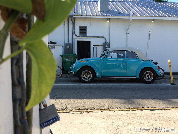 野鹅旅行,野鹅自驾无人区
