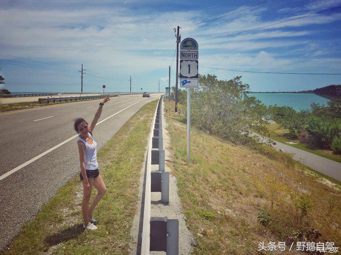 野鹅旅行,野鹅自驾无人区