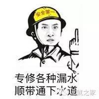 豚鼠各类饲养装备优缺点汇总之上篇