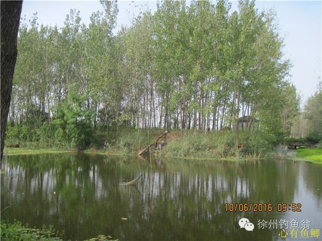 徐州铜山区野钓最新地点,小记野河钓鱼