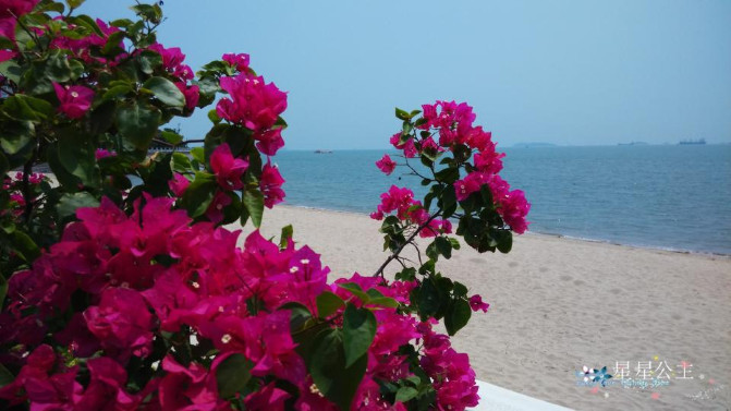 期待了好久的厦门之旅,蓝色的厦门