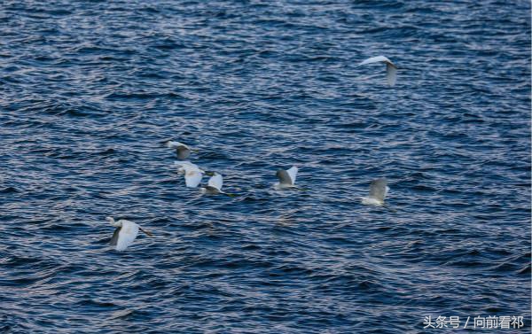 开奔驰威霆旅行的感受,单门七座威霆试驾评测