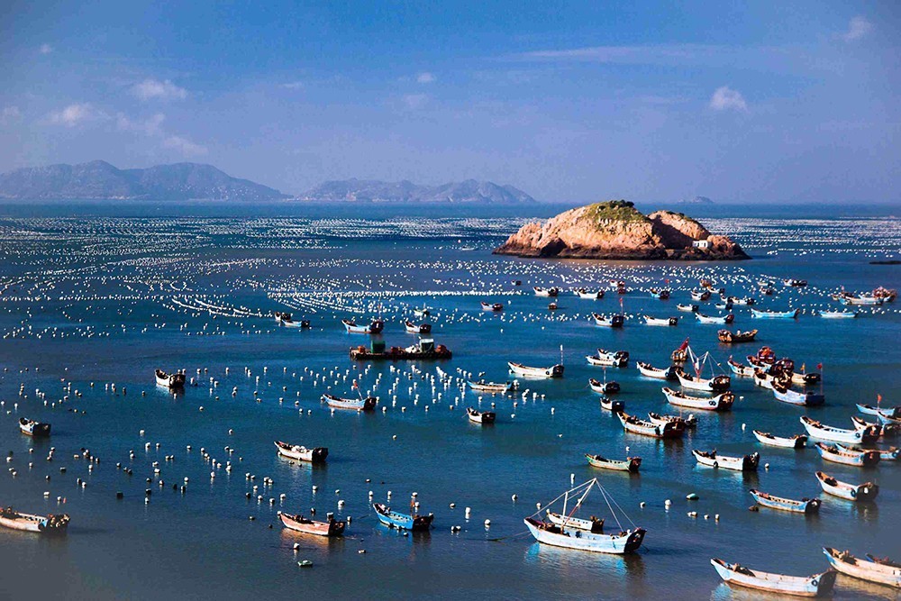 淡季嵊泗吃海鲜攻略,舟山嵊泗步行街美食