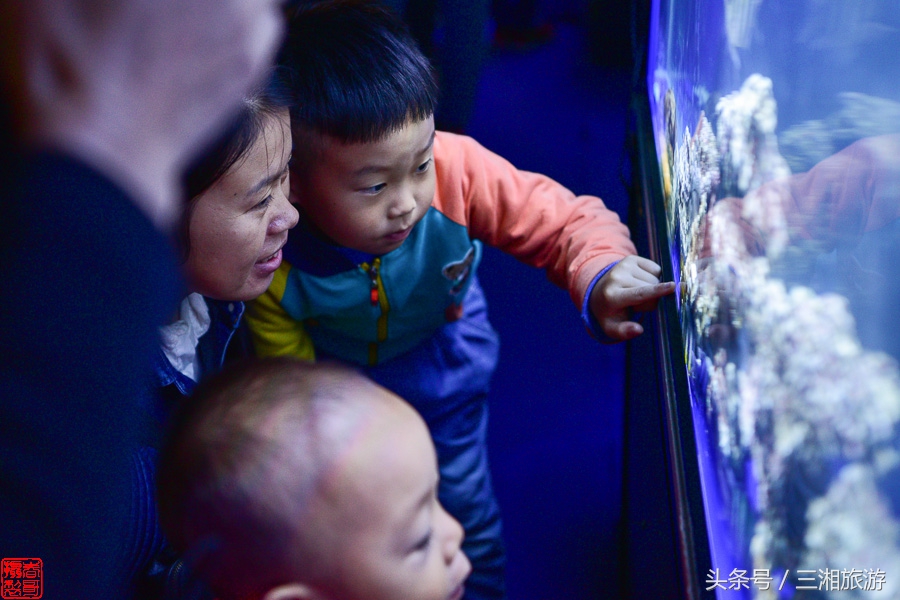 株洲漂流门票,株洲周边免门票游玩