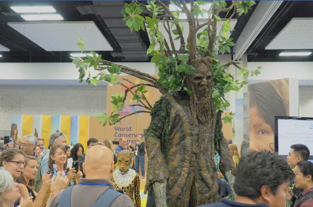 公益报道​|从肯尼亚山脉的草药到越南丛林的穿山甲