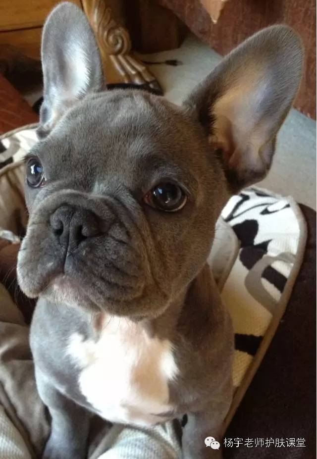 一招搞定松弛面部,脸部防松弛推荐