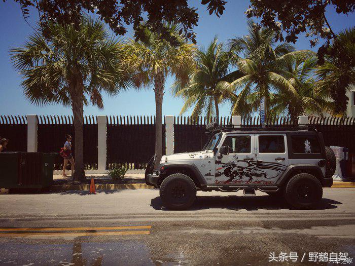 野鹅旅行,野鹅自驾无人区