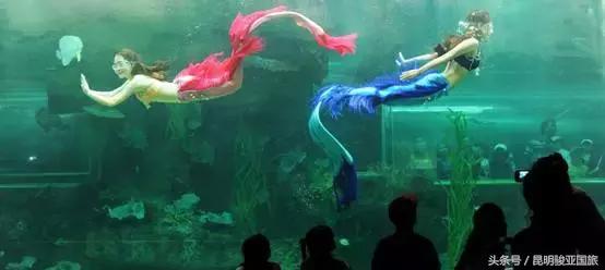 越南富国岛旅游攻略自驾游,越南富国岛五日游旅游景点