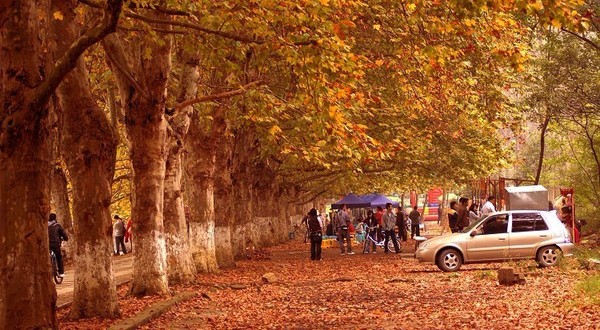 贵阳市适合踏青的公园,深秋去哪里西宁