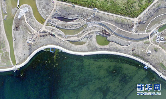 上海一周区情:申城街头添“小蓝车”金山大桥改扩建动工