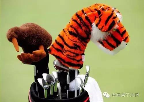 高尔夫初学者配什么装备,高尔夫初学者需要准备几支杆