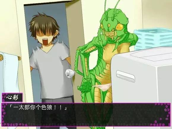 夭寿啦,夭寿啦小说