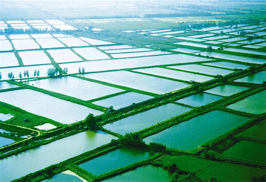 湖北荆门城市建设规划,荆门城市规划与发展方向