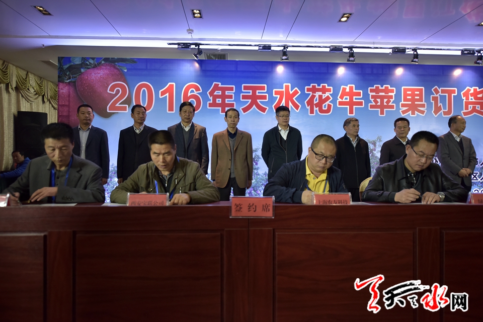 天水花牛苹果顺丰专场,天水花牛苹果发货现场