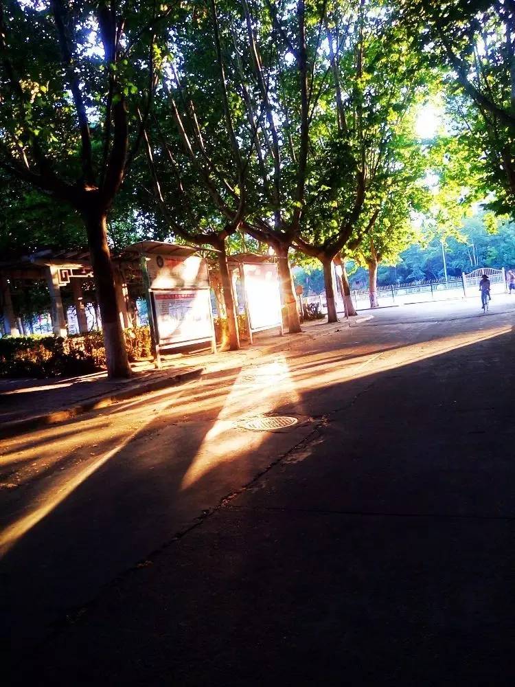 西法大,西法大以后还能评上双一流吗