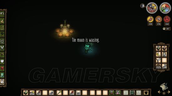 饥荒联机版攻略最详细教学,饥荒联机版芦苇有什么用