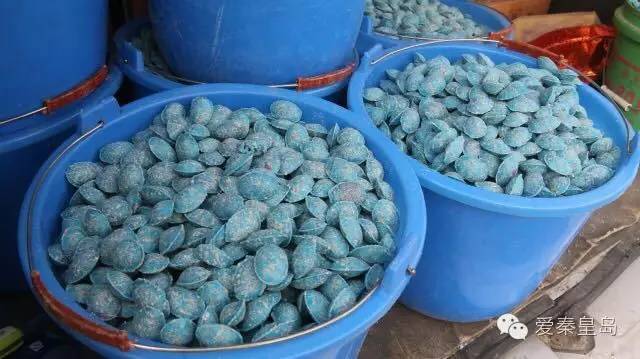 海港区灭四害,海港区专业除四害