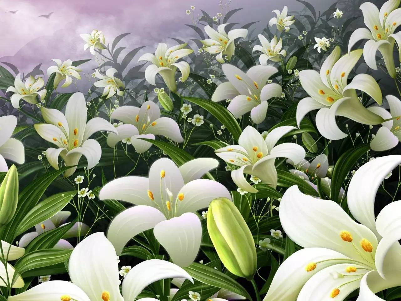 12种药材,滁州道地药材有哪些