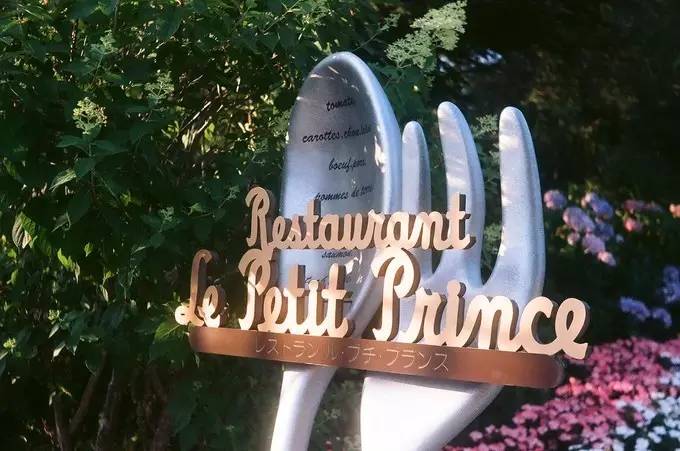 去箱根泡温泉要多少钱,箱根有专门泡温泉的地方吗