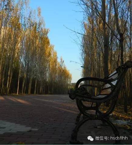 攻略|教你如何在师大刷出SSR