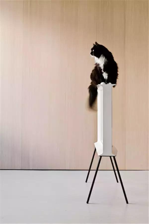 东方设计大奖金奖,国际设计大奖获奖名单公布