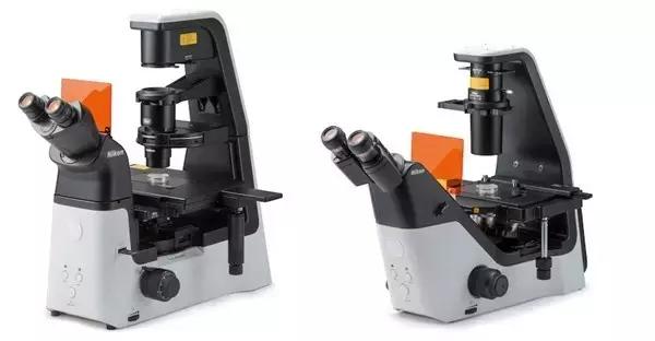 东方设计大奖金奖,国际设计大奖获奖名单公布