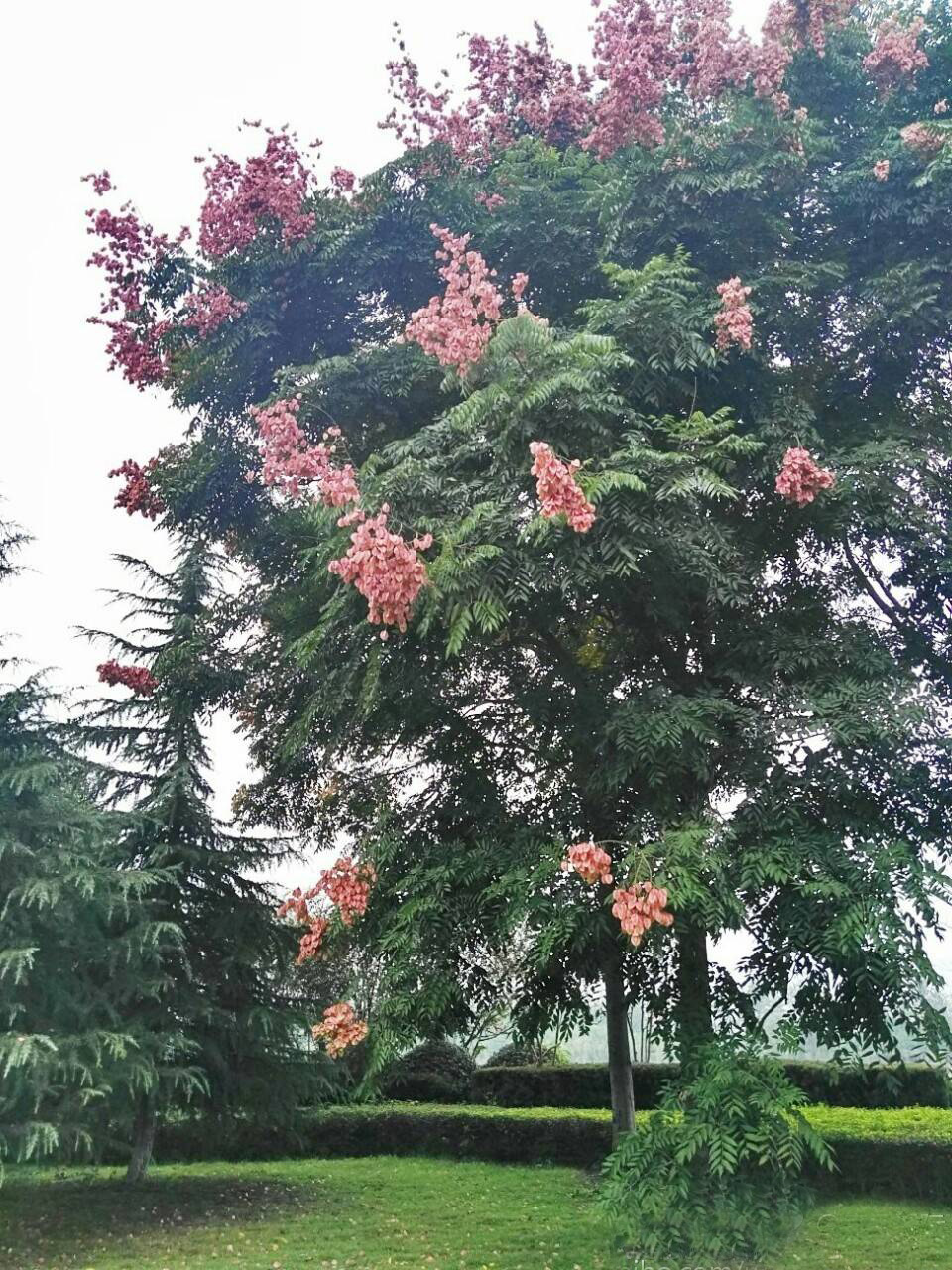 寒露过后天气转凉，除了加衣也要学会祛湿常识哦！