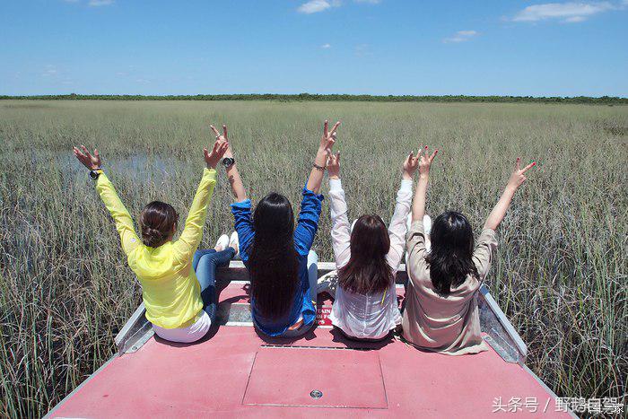 野鹅旅行,野鹅自驾无人区