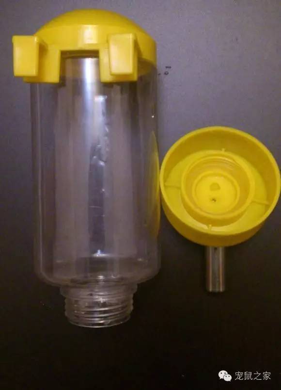 豚鼠各类饲养装备优缺点汇总之上篇