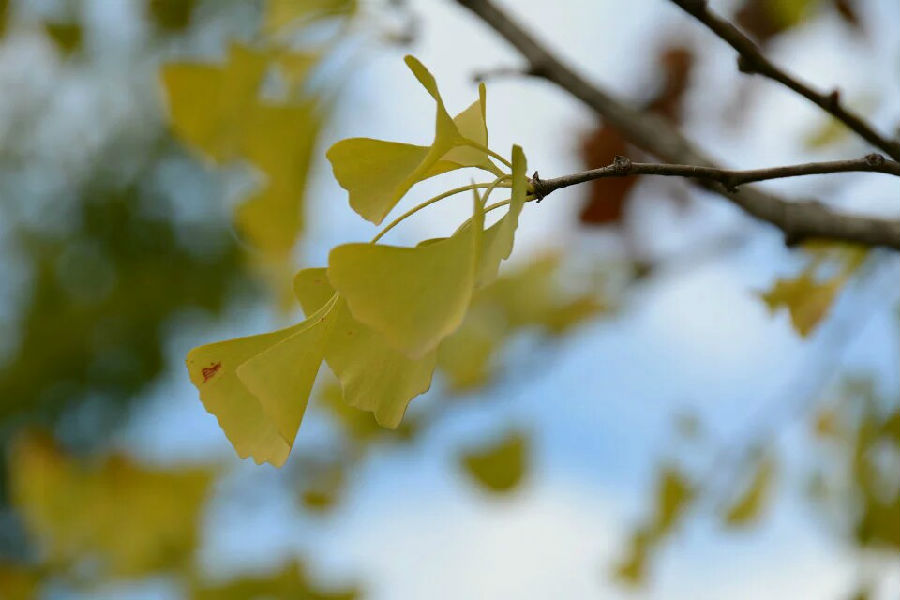汉中美在何处,汉中算是全中国最漂亮的地方