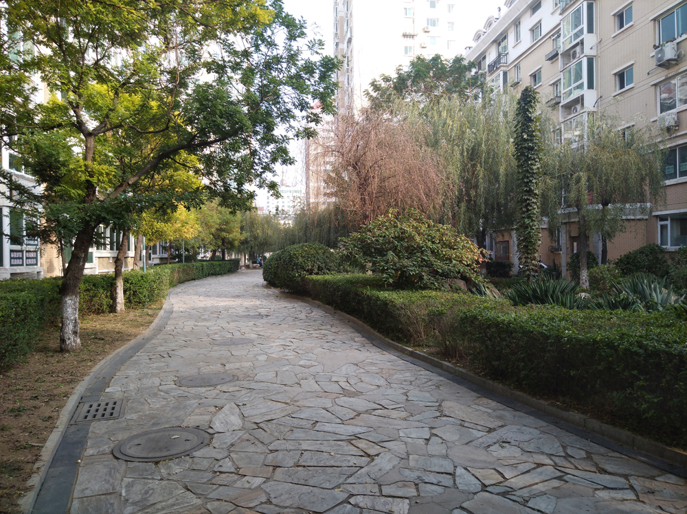 拍照神器！4+64GB努比亚Z11miniS上手体验