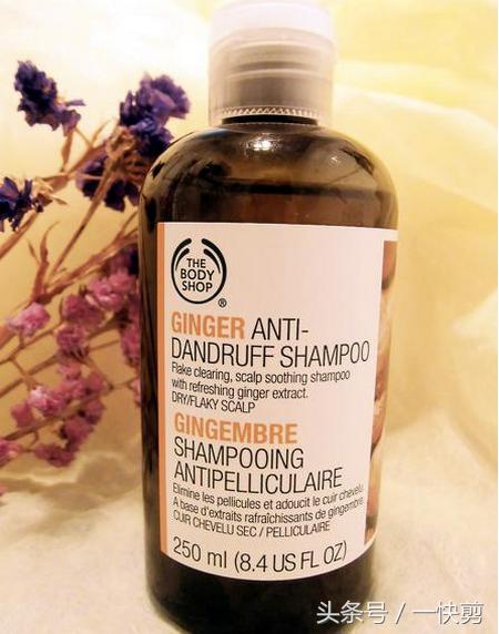 六种公认最好的洗发水,理发店重金属洗发水