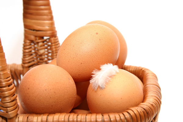 有什么办法可以治感冒引起的鼻塞,鼻塞不通气吃药能治愈吗