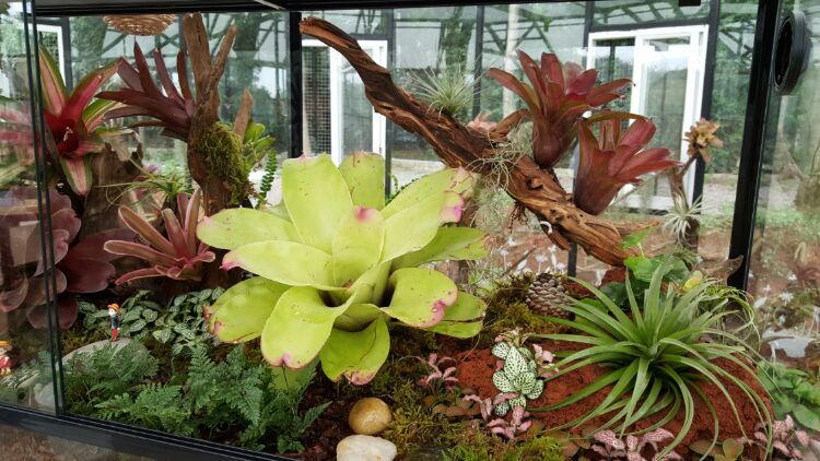 向阳的玻璃花房,玻璃花房设计建造