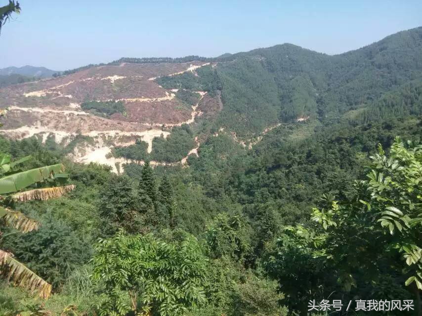 好食又好玩的广东信宜，约吗？