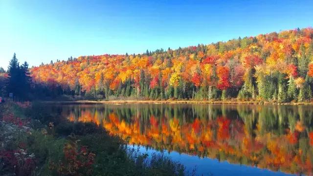 你们都错了，其实加拿大的秋季才是最厉害的时装大师