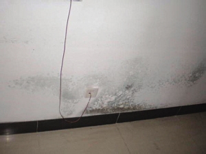 墙面刷防水可以防止发霉吗,墙面发霉刷防水管用吗