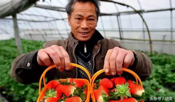 农村养殖种植与三农创业致富项目,40-50岁创业项目适合农村的