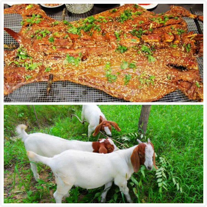 农村创业新点子十大暴利行业,2022创业的好项目农村