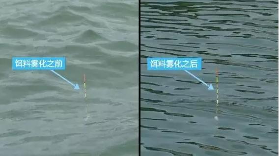 野钓中鱼八种漂相,钓鱼十大诡异漂相