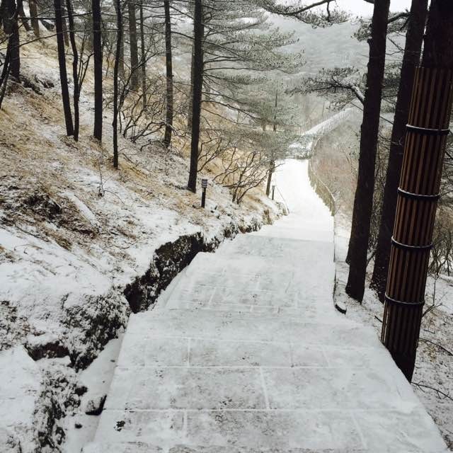 九华山黄山西递宏村纯玩四日游,黄山宏村经典四日游附详细攻略