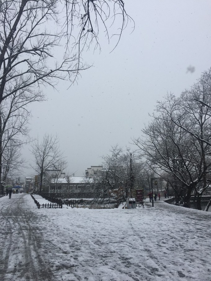 九华山黄山西递宏村纯玩四日游,黄山宏村经典四日游附详细攻略