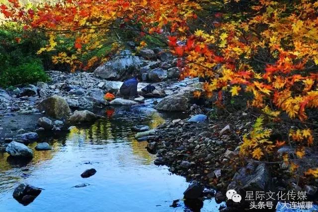大连庄河天门山一日游,大连庄河天门山国家森林公园