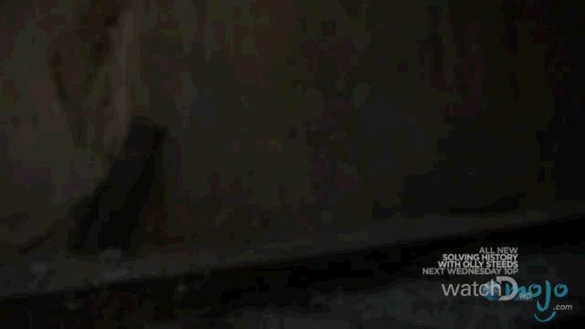 贝爷吃过最恶心的虫子,贝爷吃过十大恶心虫子