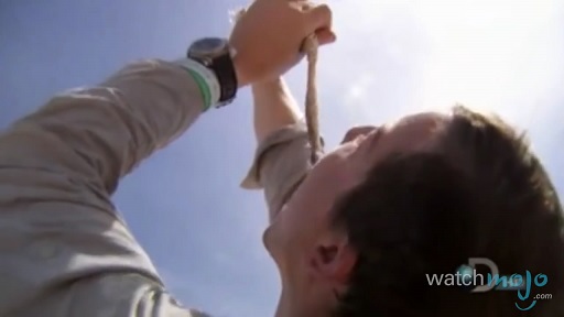 贝爷吃过最恶心的虫子,贝爷吃过十大恶心虫子