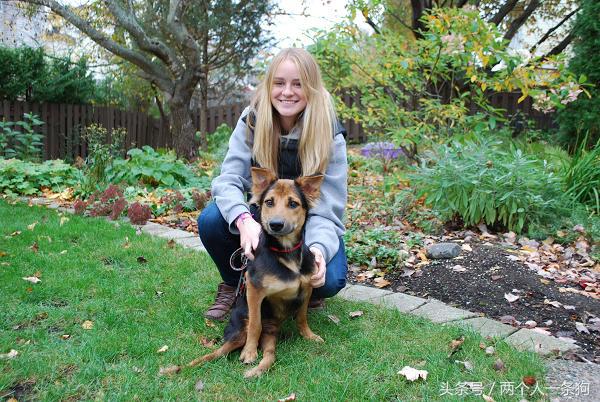 流浪狗被撞断后腿,流浪狗断了一条腿被宠物医生救下