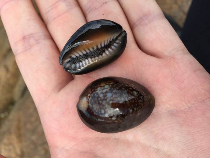 我的第一次出行视频,我的第一次不间断骑行100公里