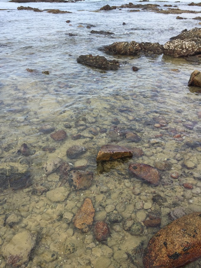 我的第一次出行视频,我的第一次不间断骑行100公里