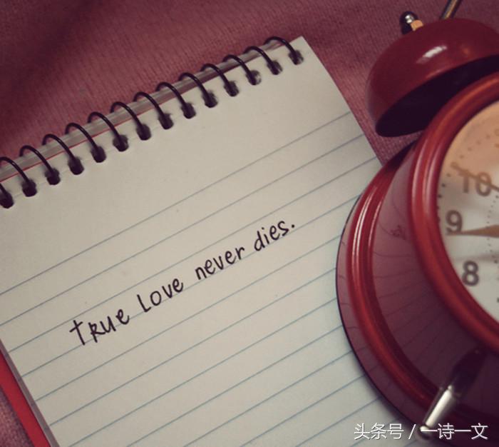 一个普通人的平淡生活,平淡人生生活启示录